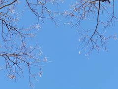 -北京南山滑雪场