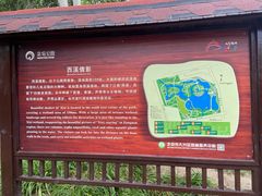 -大兴滨河森林公园