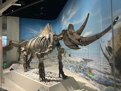 -国家自然博物馆