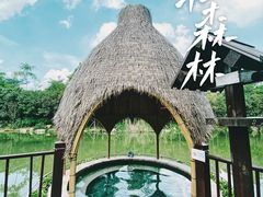 -美的鹭湖森林度假区