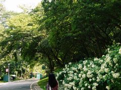 -东莞植物园