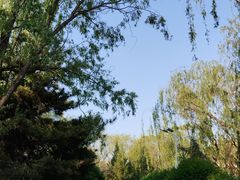 -青城公园