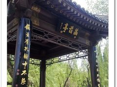 -紫竹院公园冰场