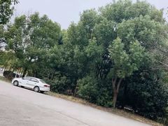 -胜华驾校·小猫学车(银都店)