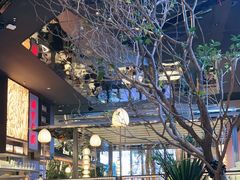 -桂满陇·海市蜃楼·黑金(国金店)