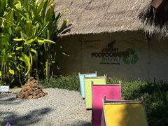 -大象粑粑造纸公园