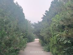 -国家植物园