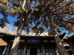 -雁门关景区