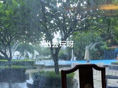 -蛇口希尔顿南海酒店·随轩中餐厅·粤菜