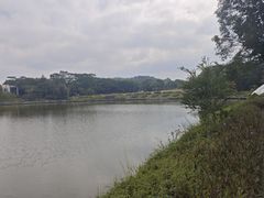 -东莞植物园