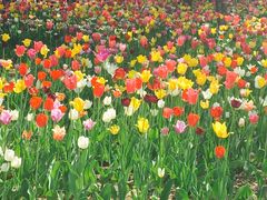 -长春公园(普阳街道)