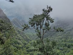 -秦岭天竺山生态文化旅游景区