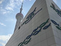 -上海海洋水族馆