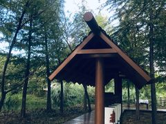 -梁鸿国家湿地公园