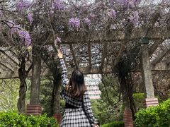 -山东大学(千佛山校区)
