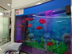 -雅悦齿科(顾村公园店)