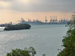 -圣淘沙天际线斜坡滑车