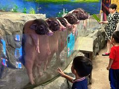 -正佳雨林生态植物园