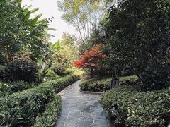 -腾冲洞山温泉村
