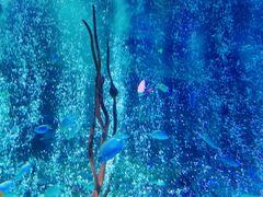 -沈阳海洋探索中心