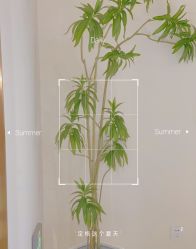 -Lily纤美·科技减脂中心