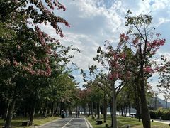 -顺峰山公园