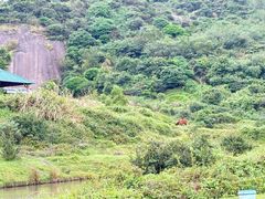 -大姆山草场