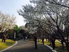 -苏州河梦清园环保主题公园