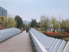 -南翔镇银翔湖公园
