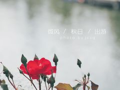 -函谷关历史文化旅游区