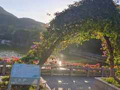 -广州市帽峰山景区