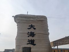 -哈密雅丹大海道景区