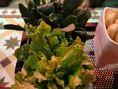 菠菜-左庭右院鲜牛肉火锅(新梅广场店)