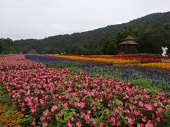 -广州市石门国家森林公园