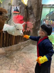 -宝燕乐园(闵行旗舰店)