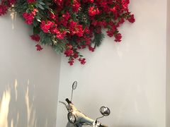 -花开餐厅(环湖中路店)