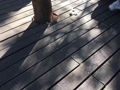 -普陀山风景名胜区-千步大沙