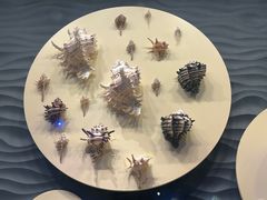 -中国（海南）南海博物馆