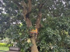 -顺风山庄(水濂山店)