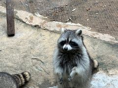 -杭州野生动物世界