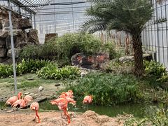 -无锡动物园·太湖欢乐园