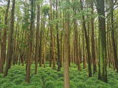 -共青国家森林公园-售票处