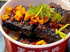 -黑色经典臭豆腐·湖南特产(坡子街店)