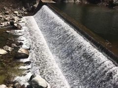 -陕西省红河谷森林公园