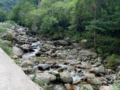 -陕西省红河谷森林公园