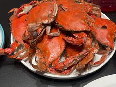 -大连湾旭日·家宴·海肠捞饭(马栏广场店)