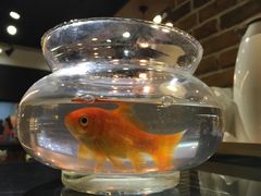 -可莎蜜儿(浦沿店)