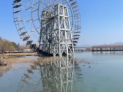 -苏州太湖湖滨国家湿地公园