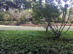 -常州环球恐龙城维景国际大酒店