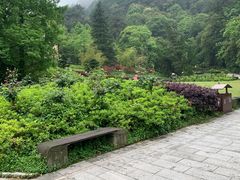 -缙云山景区